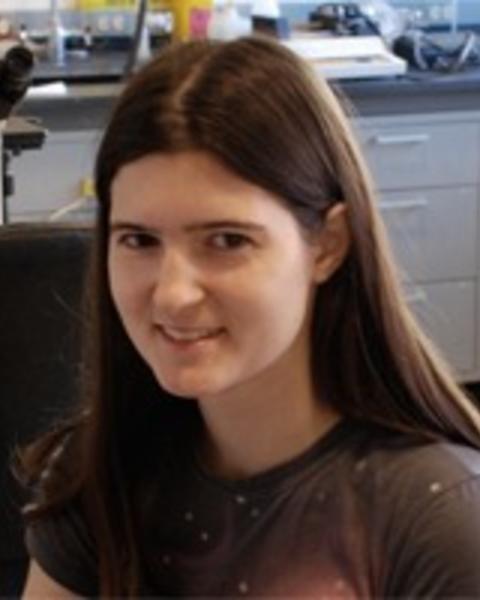 m_neubauer.jpg